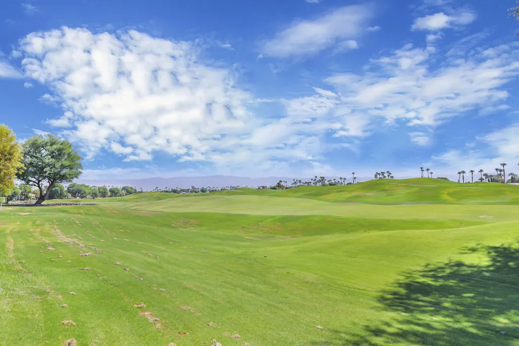 Oaktree54914#31 Oaktree54914#31