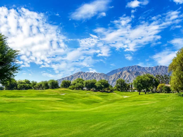 Oaktree54914#32