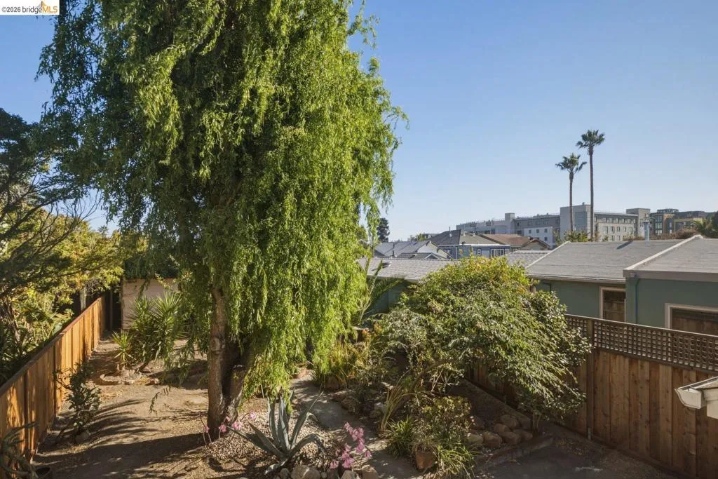 Spacious outdoor area featuring a prominent deciduous tree and natural landscaping
