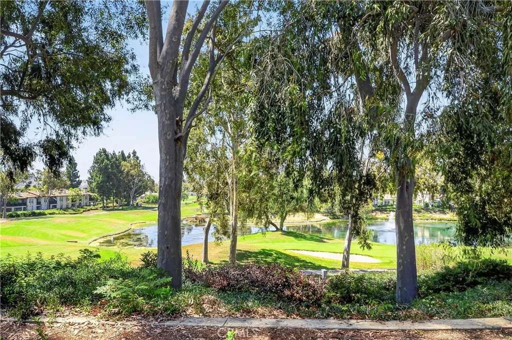 Golf Course View