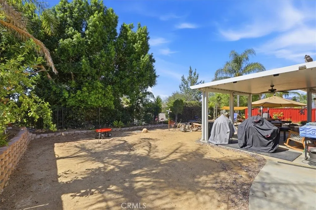 Side/Back yard