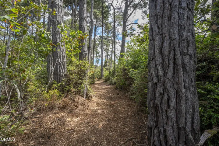 17898 Georges Lane, Fort Bragg, California 95437 — photo 4