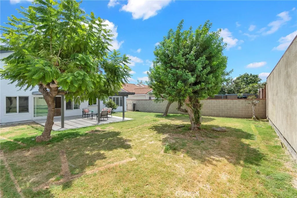 Large Backyard