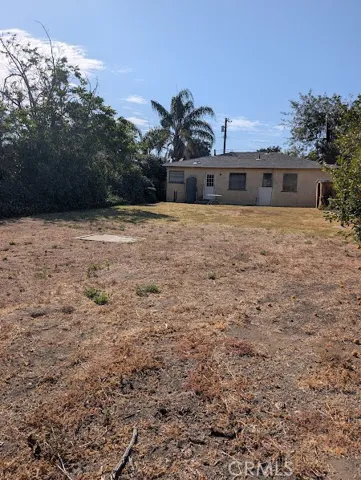 backyard view