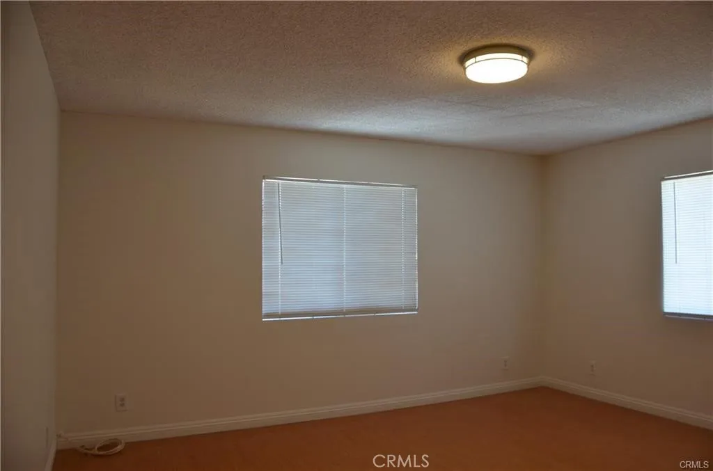 gallery-image 4