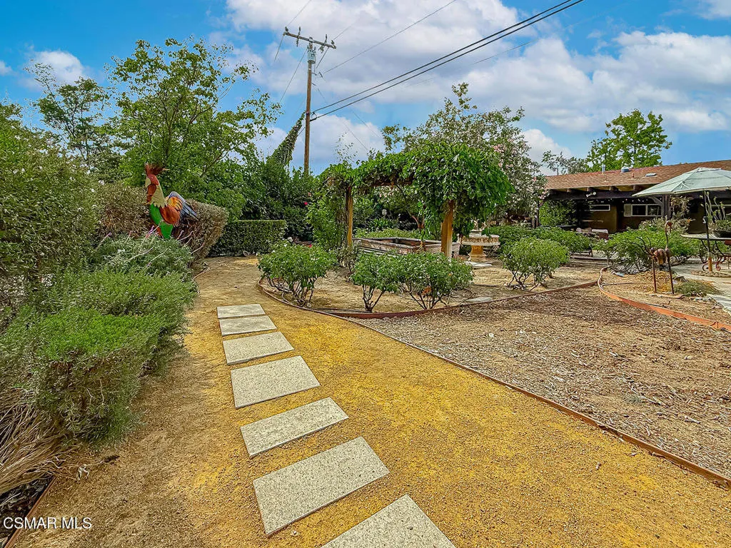hBackyard17