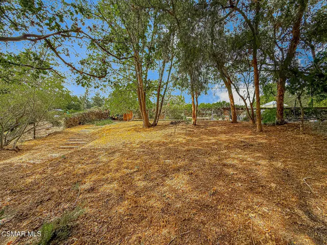 hBackyard25