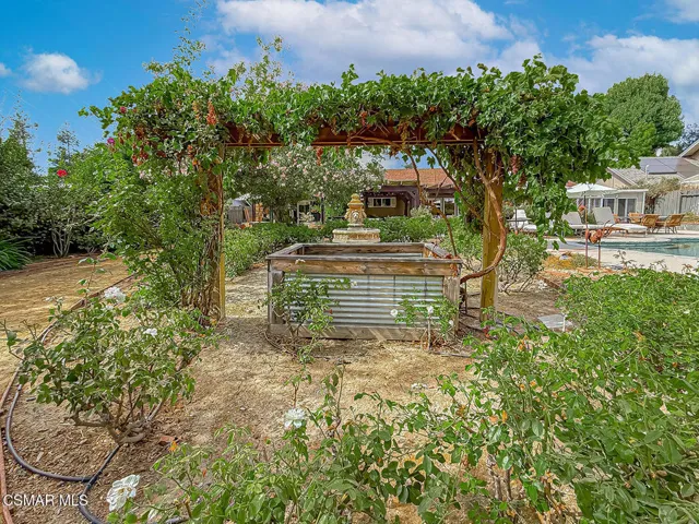 hBackyard18