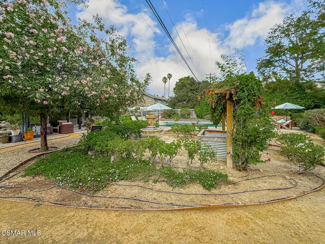 hBackyard7