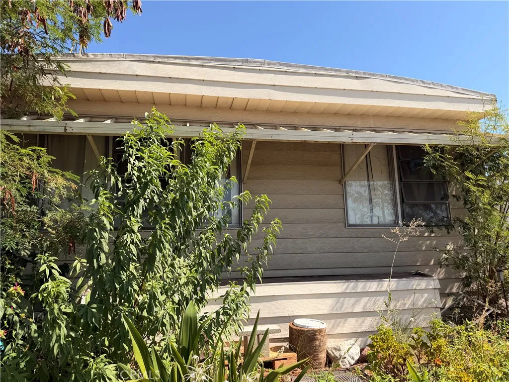 185 N Eucalyptus 89