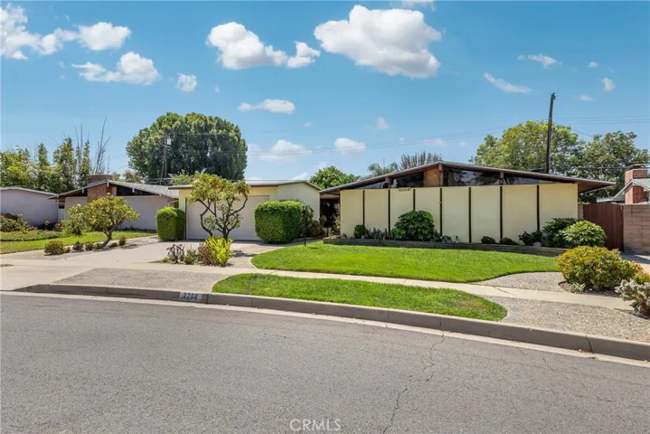 Mid Century darling