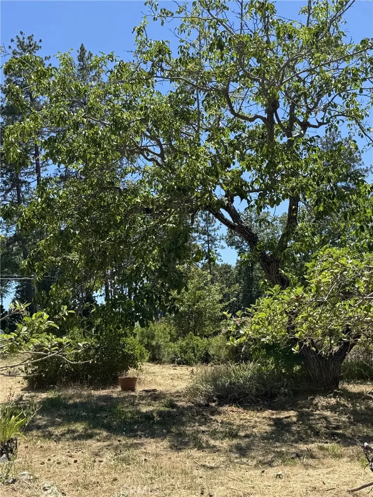 925 Wagstaff Road, Paradise, California 95969 — photo 4