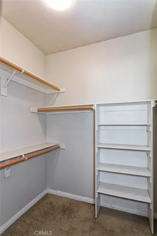 Primary Closet