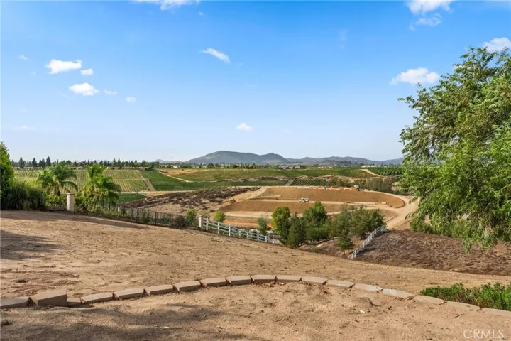 Vineyard Views