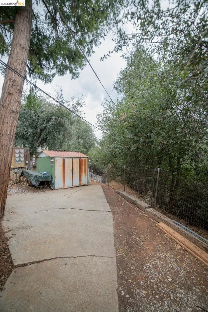 spacious backyard with shed