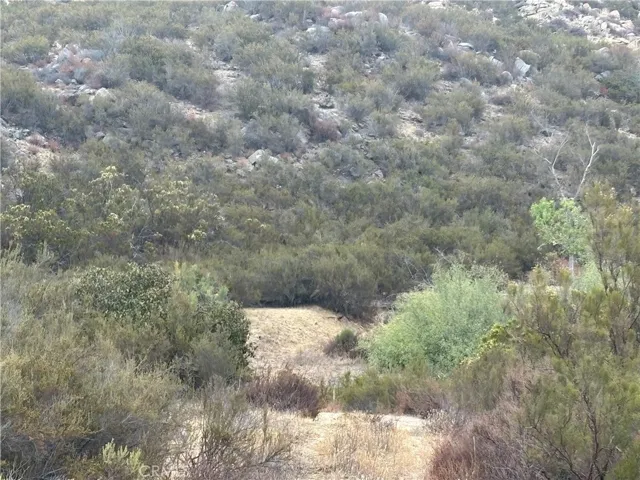 8 Wiley Road, Hemet, California 92544 — photo 4