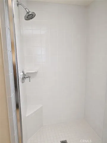 Downstairs Shower