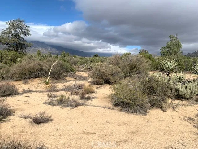 368 Palm Canyon Drive, Mountain Center, California 92561 — photo 4