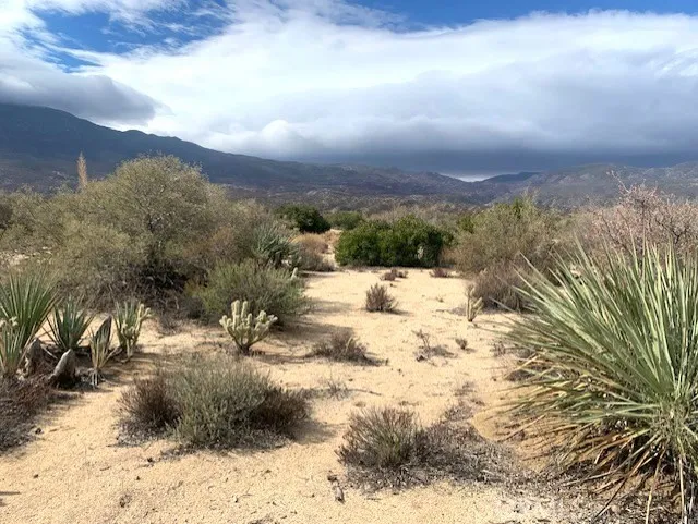 368 Palm Canyon Drive, Mountain Center, California 92561 — photo 5