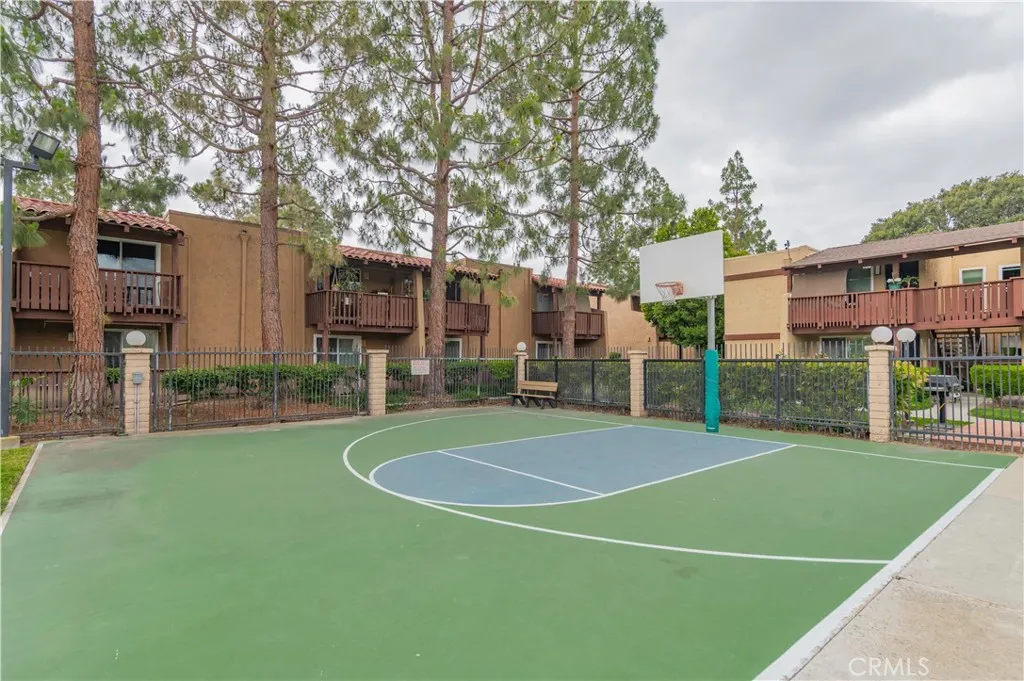 Basketball court
