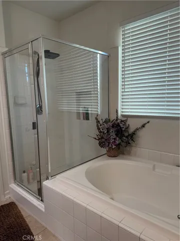 Master Bath Tub and Shower