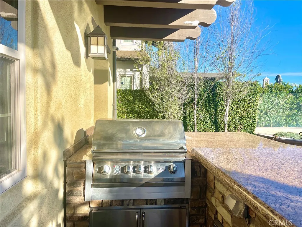 BBQ in Backyard