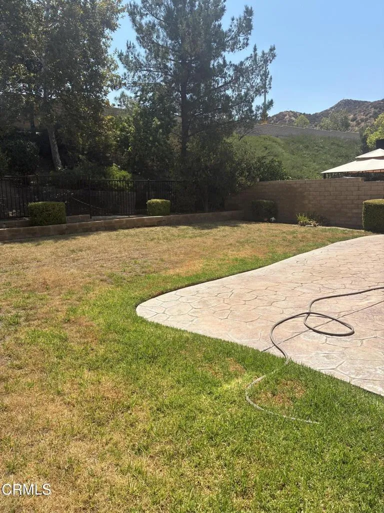 backyard backyard