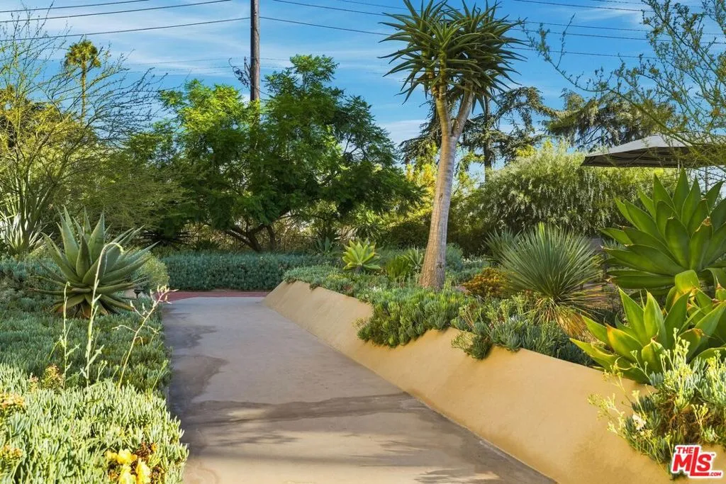 Building Lanscaping Building Lanscaping