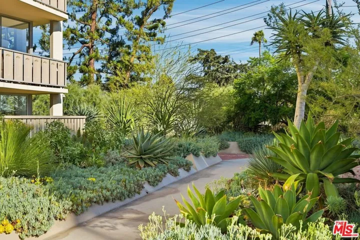 Building Lanscaping