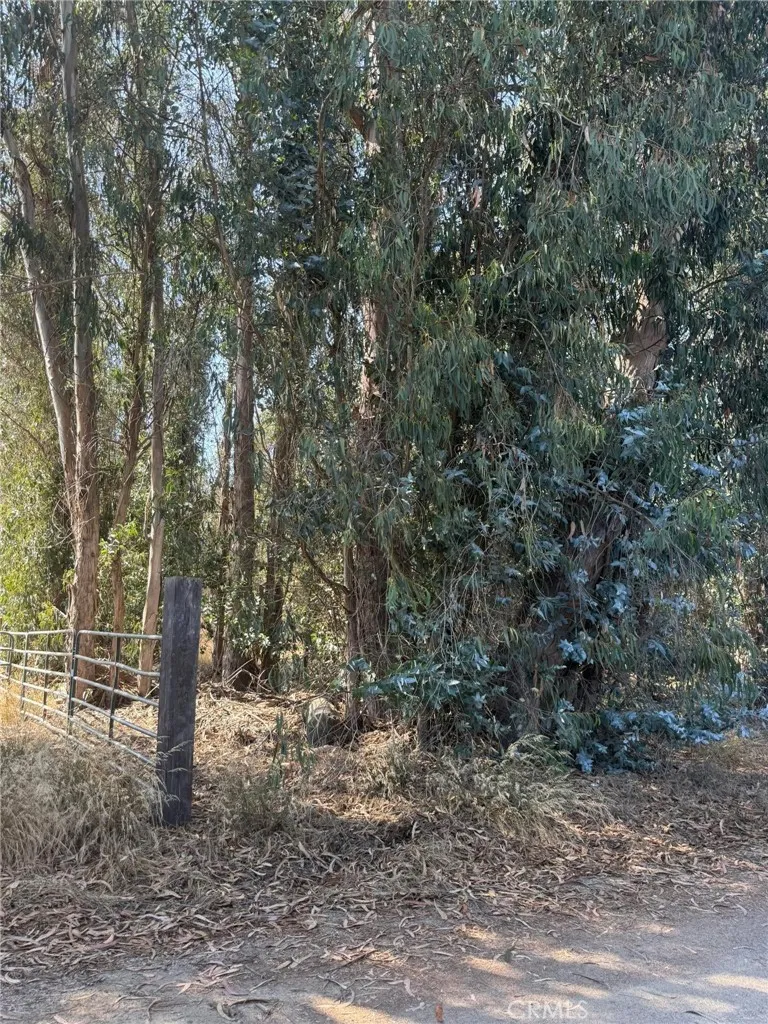 1780 Illinois Way, Nipomo, California 93444 — photo 4