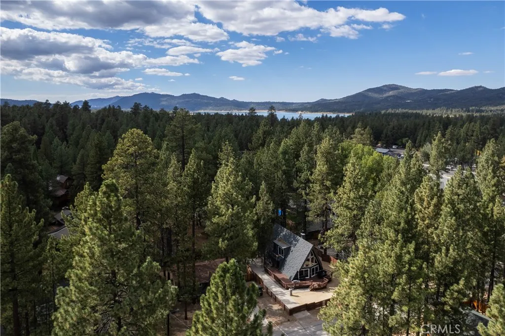 580 St Moritz, Big Bear Lake, California 92315 — photo 5