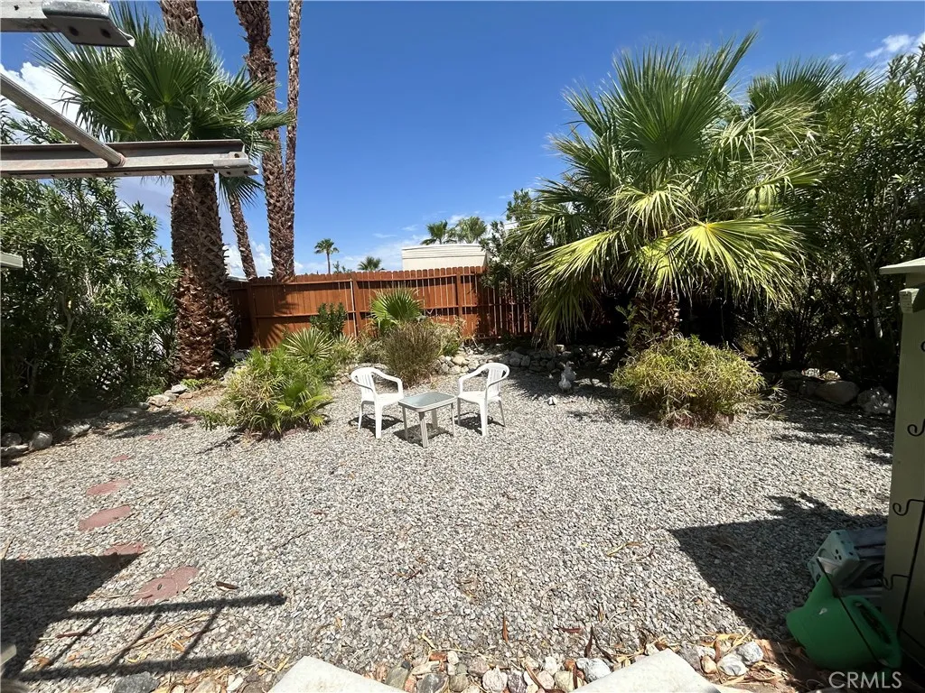 Large spacious backyard
