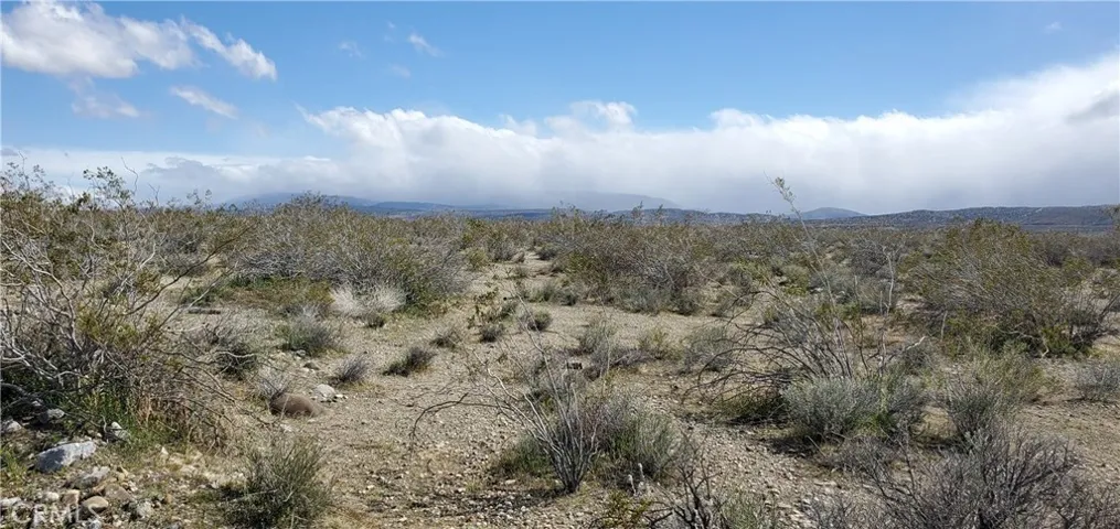 Facing south towards the lot