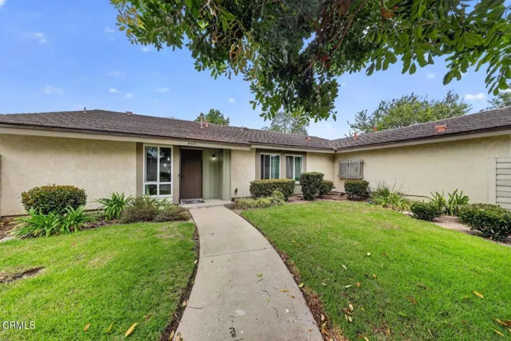 01-HollyAve-3bd1859cab