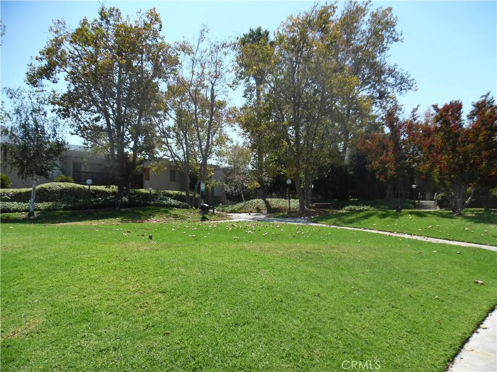 Green Space Green Space