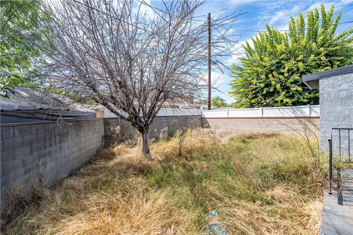Backyard Area