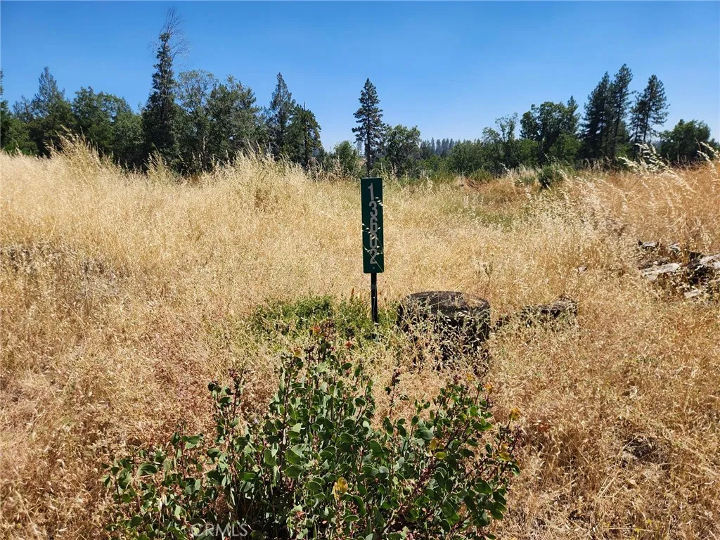 13602 Andover, Magalia, California 95954 — photo 4