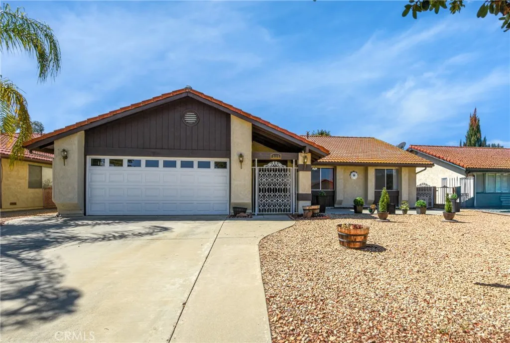 2115 Flame Tree