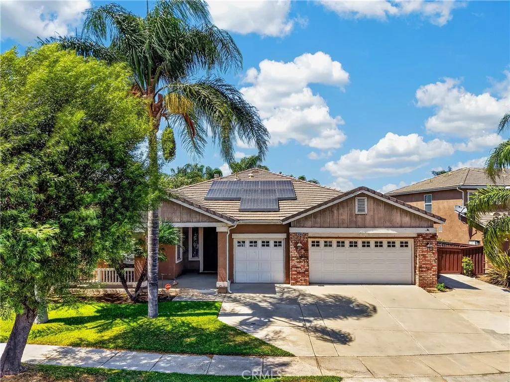 28209 Basswood