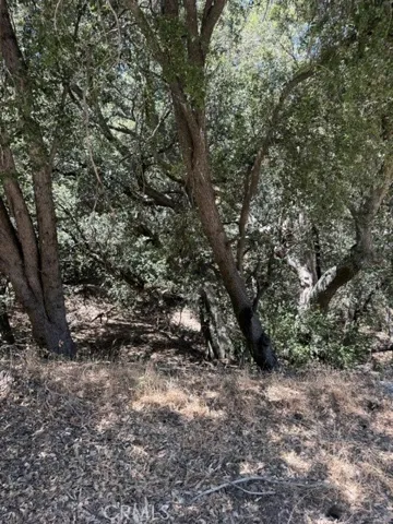 22301 Bernina Way, Tehachapi, California 93561 — photo 4