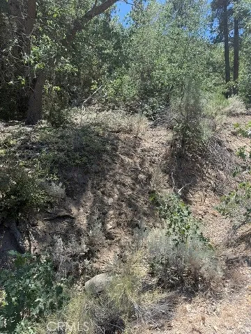 22301 Bernina Way, Tehachapi, California 93561 — photo 5