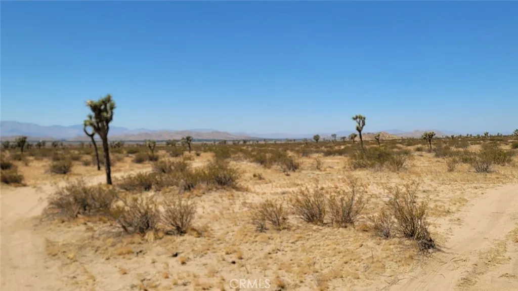 0 Ave L8, Lancaster, California 93535 — photo 4