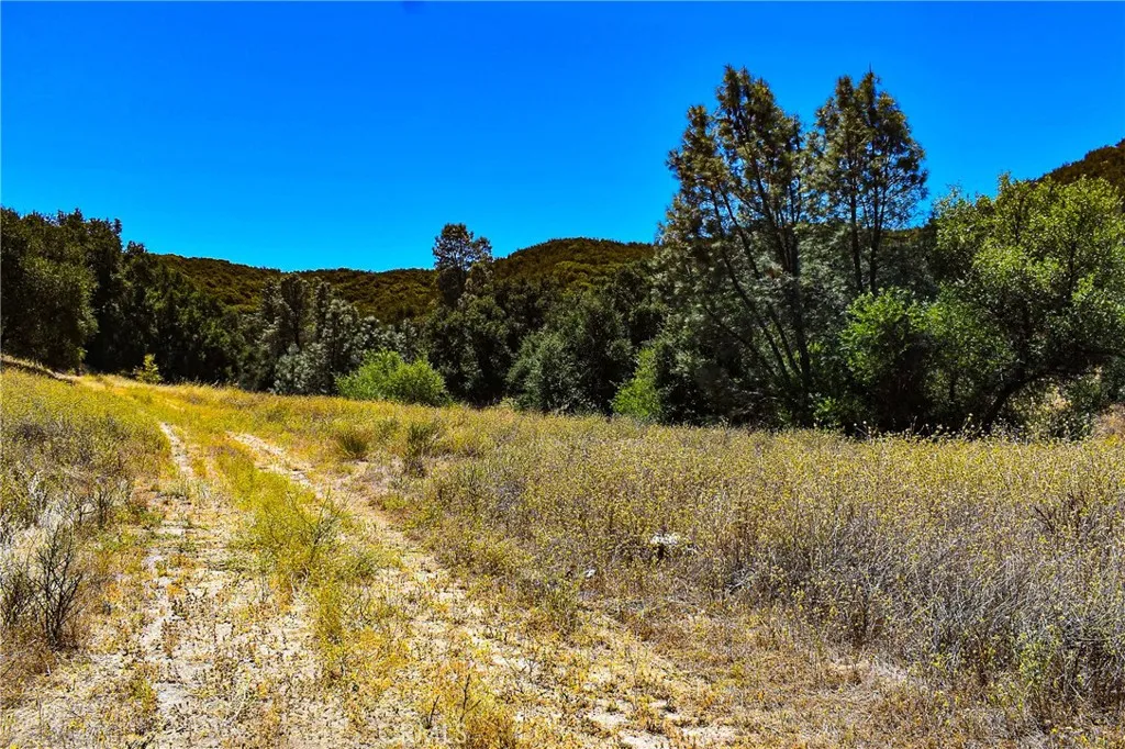 4169 Stagecoach Canyon, Santa Margarita, California 93453 — photo 4
