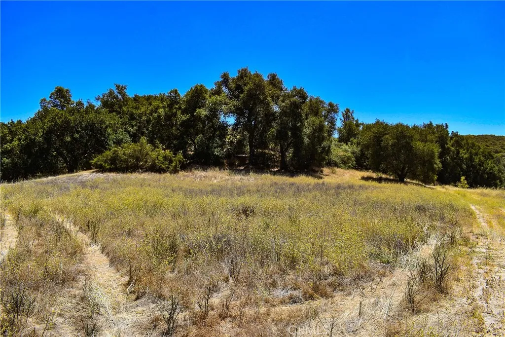 4169 Stagecoach Canyon, Santa Margarita, California 93453 — photo 5