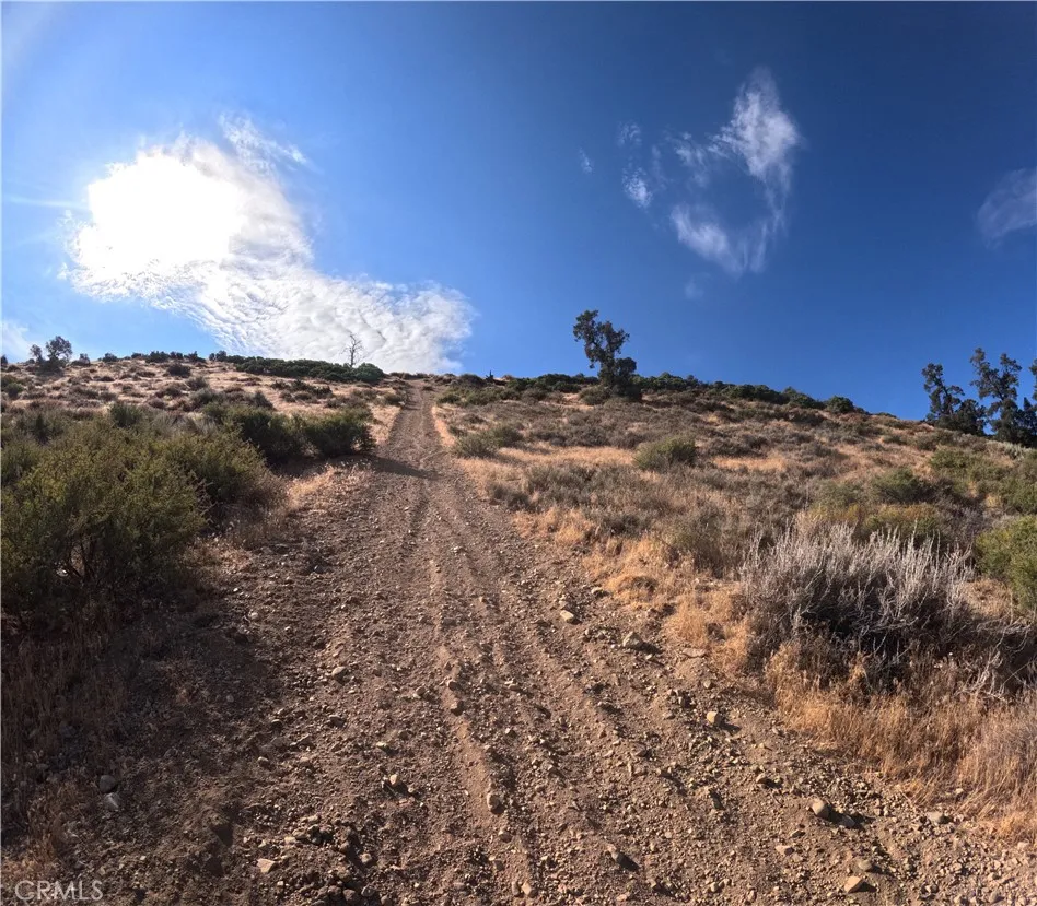 8243 Simson, Pinon Hills, California 92372 — photo 4