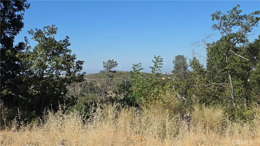 1569 La Grande Vue, Paradise, California 95969 — photo 4