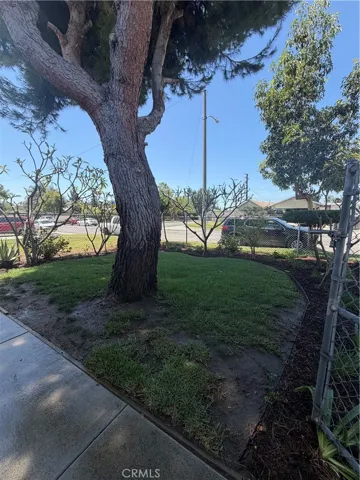 Front yard