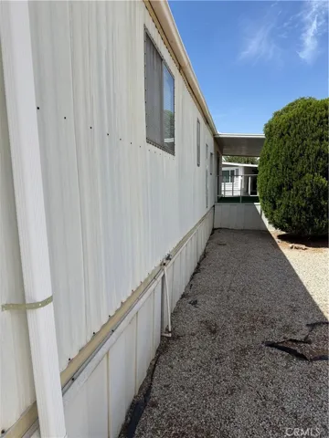 Side yard