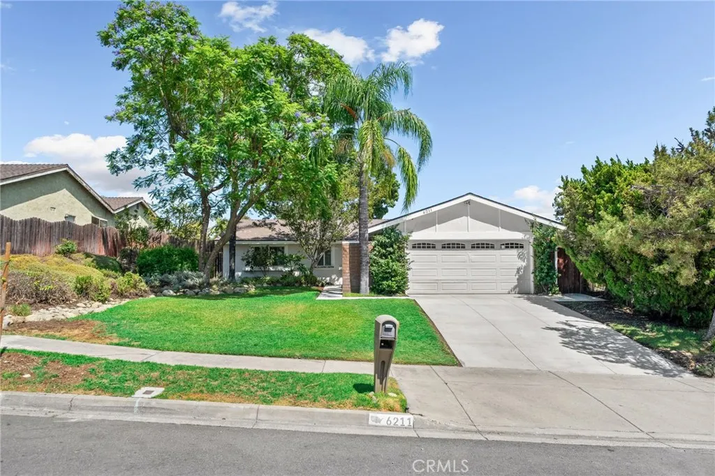 6211 Phillips