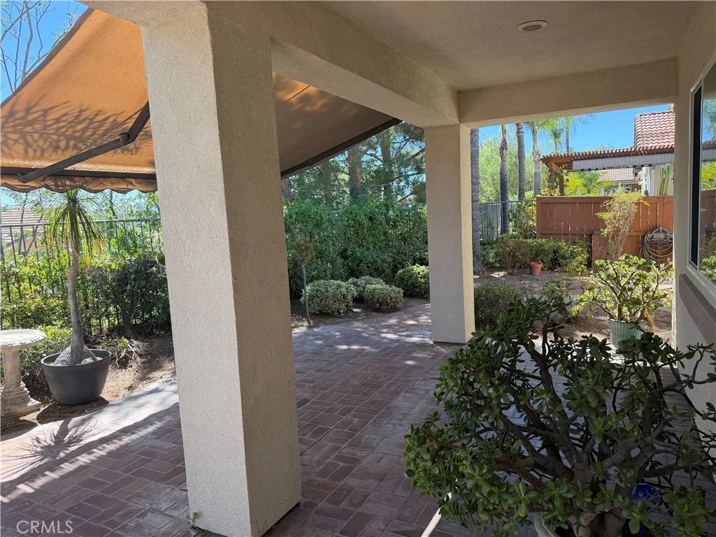 Lovely south facing backyard Lovely south facing backyard